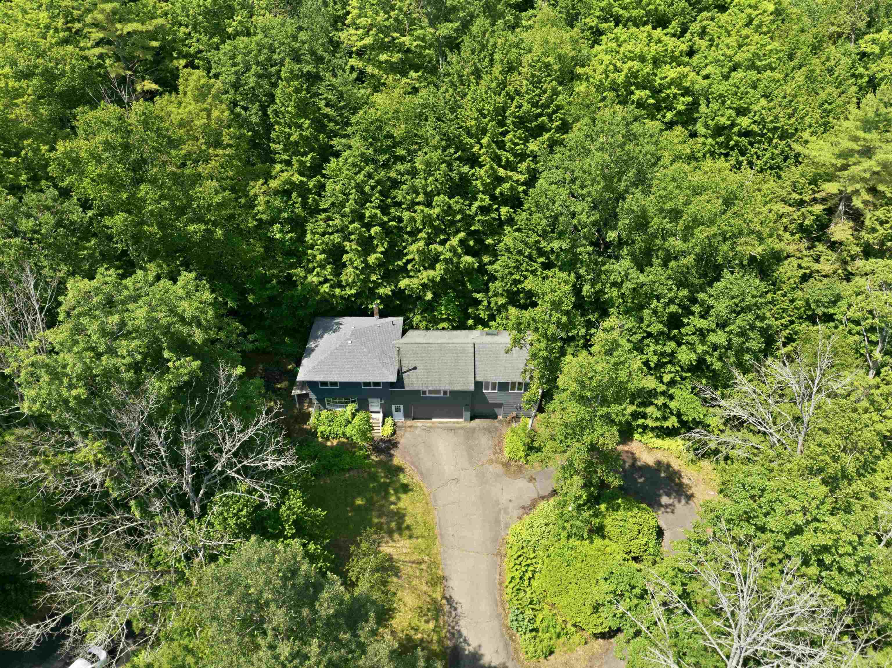 12 Ivy Lane