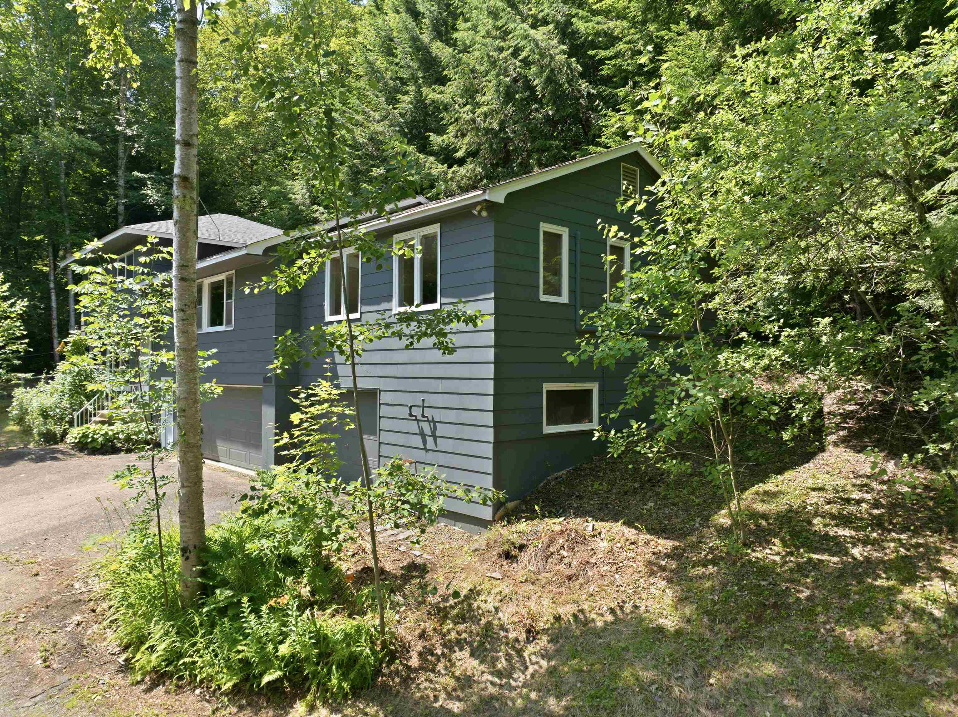 12 Ivy Lane