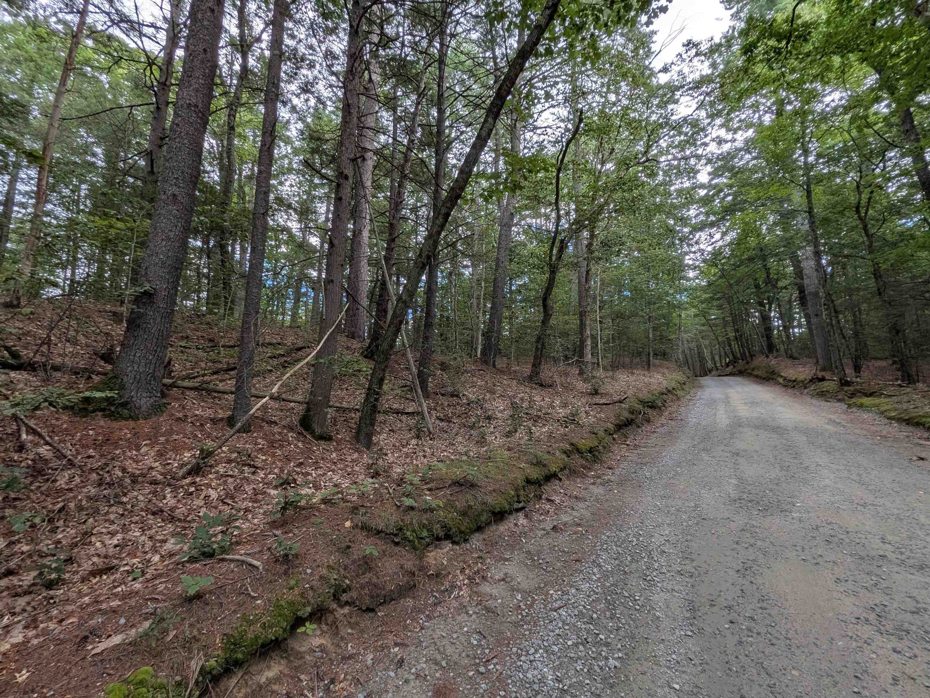 D46 Sand Hill Road