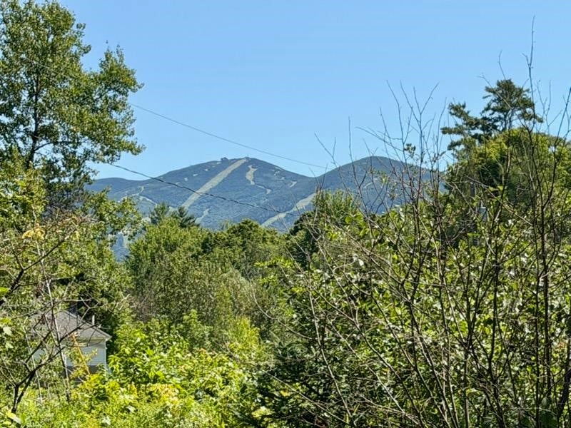 Photo of 43 Sawmill Lane, Franconia, NH 03580 (MLS # 5113847)