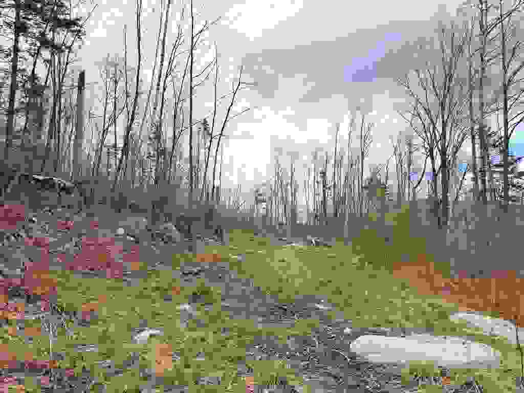 Photo of 00 Route 3 North #43 &amp; 46, Carroll, NH 03595 (MLS # 5089277)
