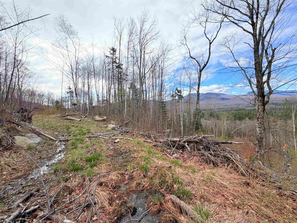 Photo of 00 Route 3 North #43 &amp; 46, Carroll, NH 03595 (MLS # 5089277)