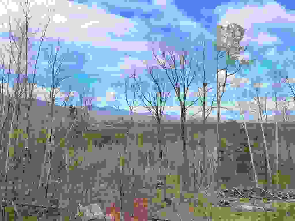 Photo of 00 Route 3 North #43 &amp; 46, Carroll, NH 03595 (MLS # 5089277)