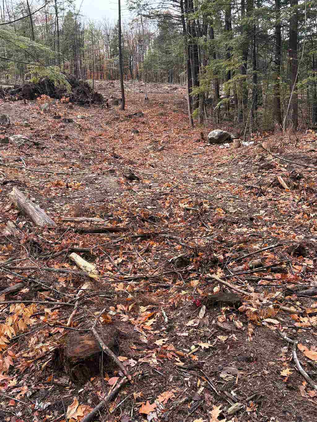 Photo of 7 Sugarloaf Drive #8, Ossipee, NH 03814 (MLS # 5096984)