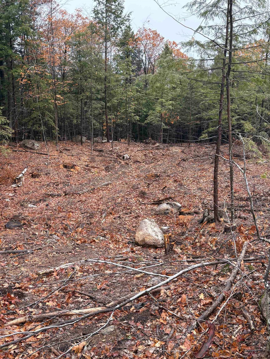 Photo of 7 Sugarloaf Drive #8, Ossipee, NH 03814 (MLS # 5096984)