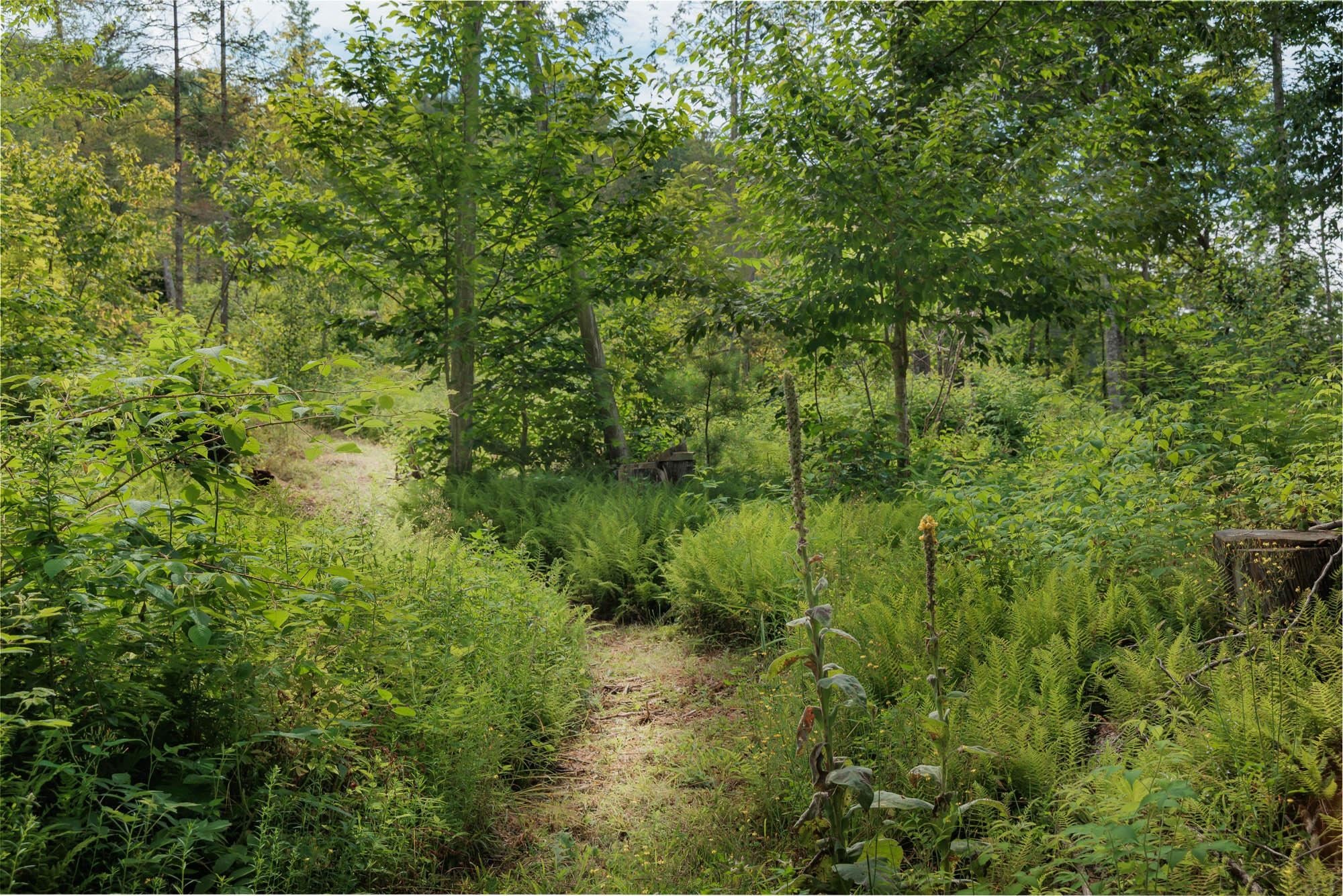 249 Weber Brook Lane 2