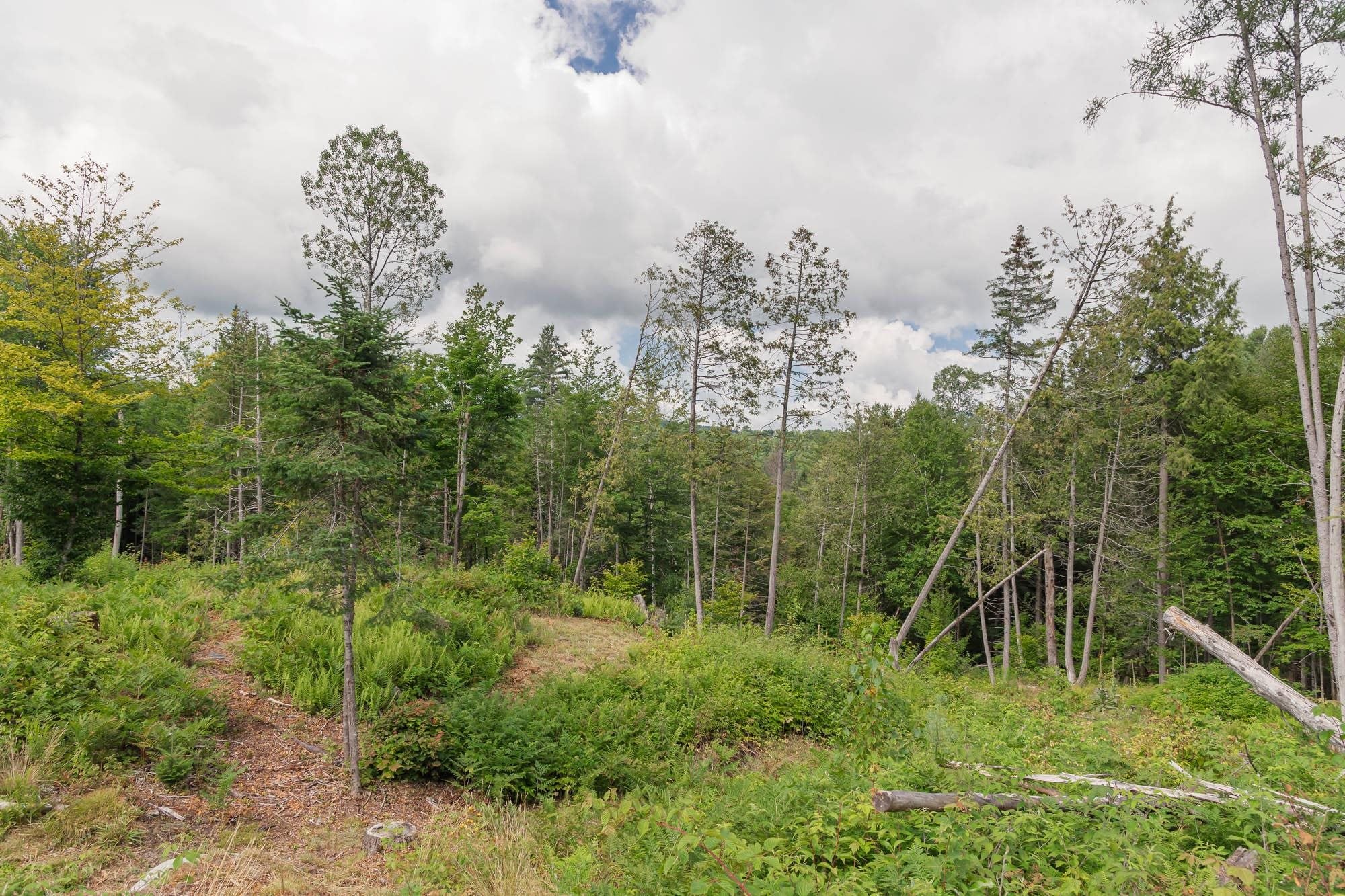 249 Weber Brook Lane 2