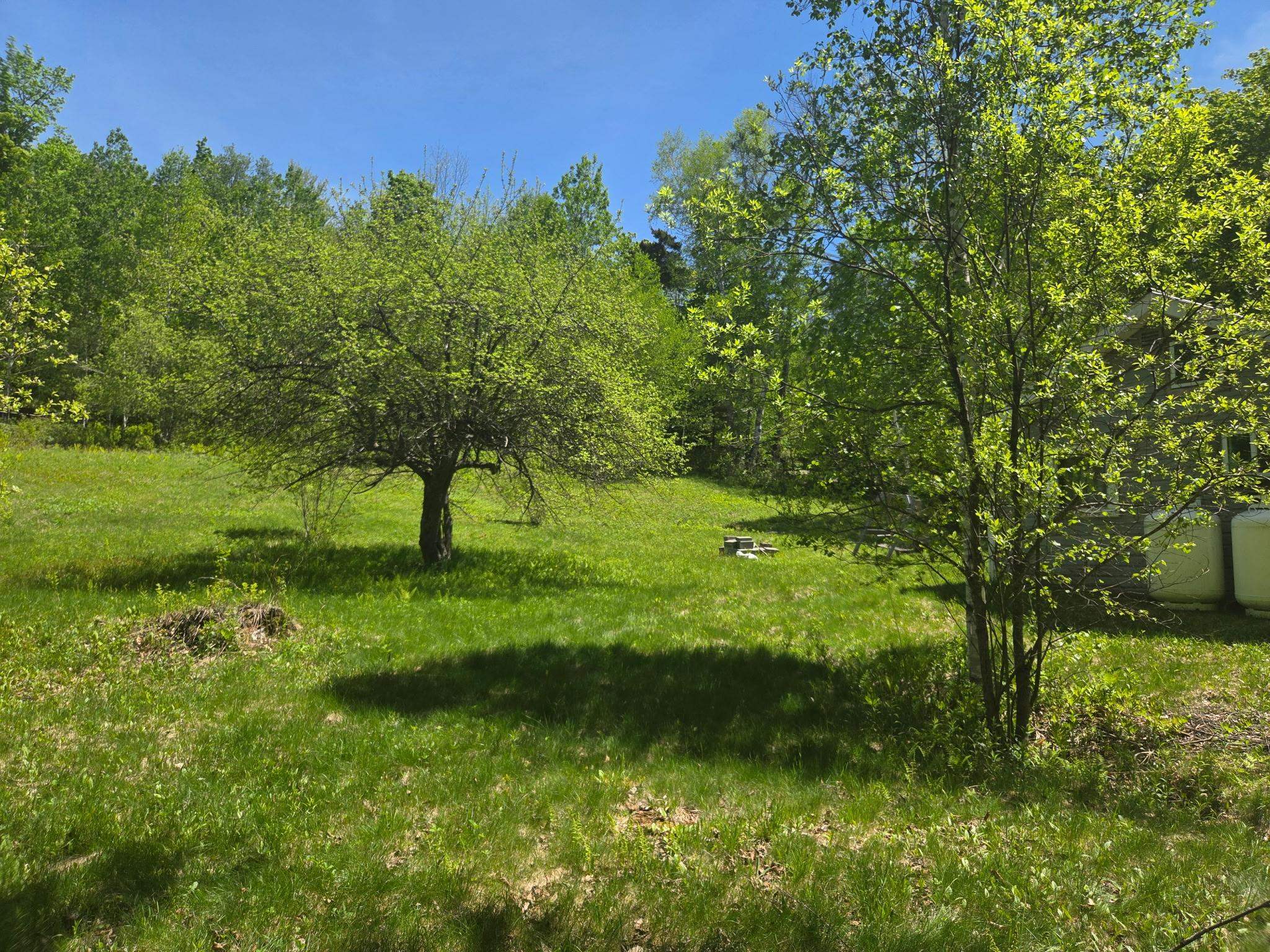 1440 Stevens Road