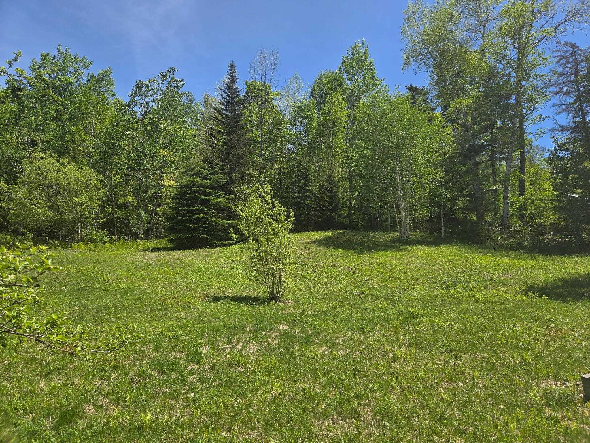 1440 Stevens Road