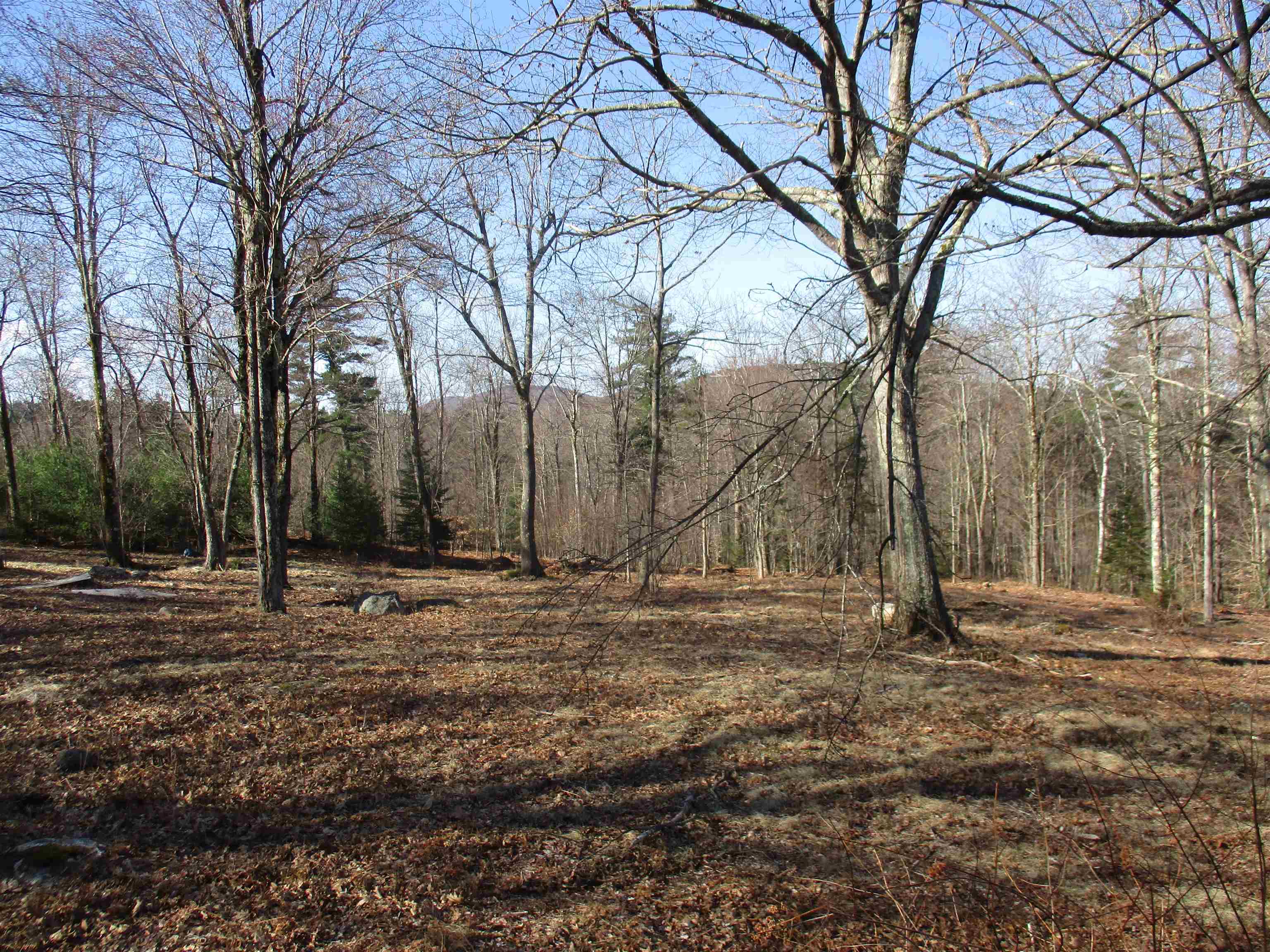100 Wildcat Hill Road