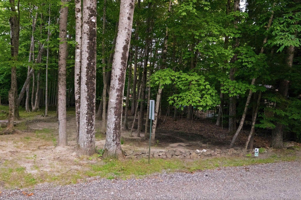 Photo of 55 Mountain View Drive, Moultonborough, NH 03253 (MLS # 5099075)