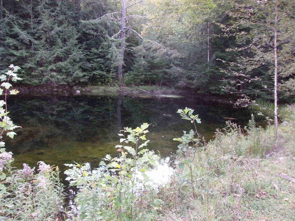 Photo of Fenn Way Circle #9, Bath, NH 03740 (MLS # 5115091)
