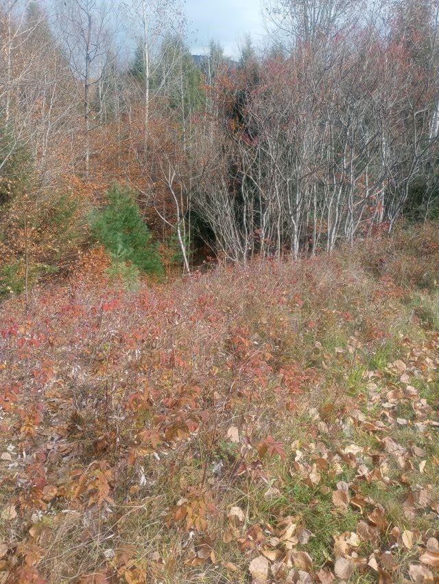 Photo of Fenn Way Circle #9, Bath, NH 03740 (MLS # 5115091)