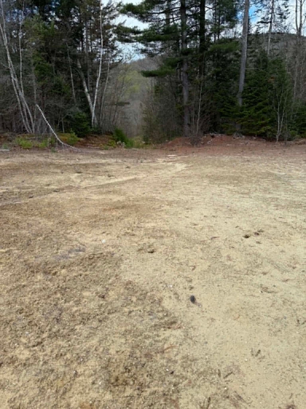 Photo of 7 Bog Road, Enfield, NH 03748 (MLS # 5087992)