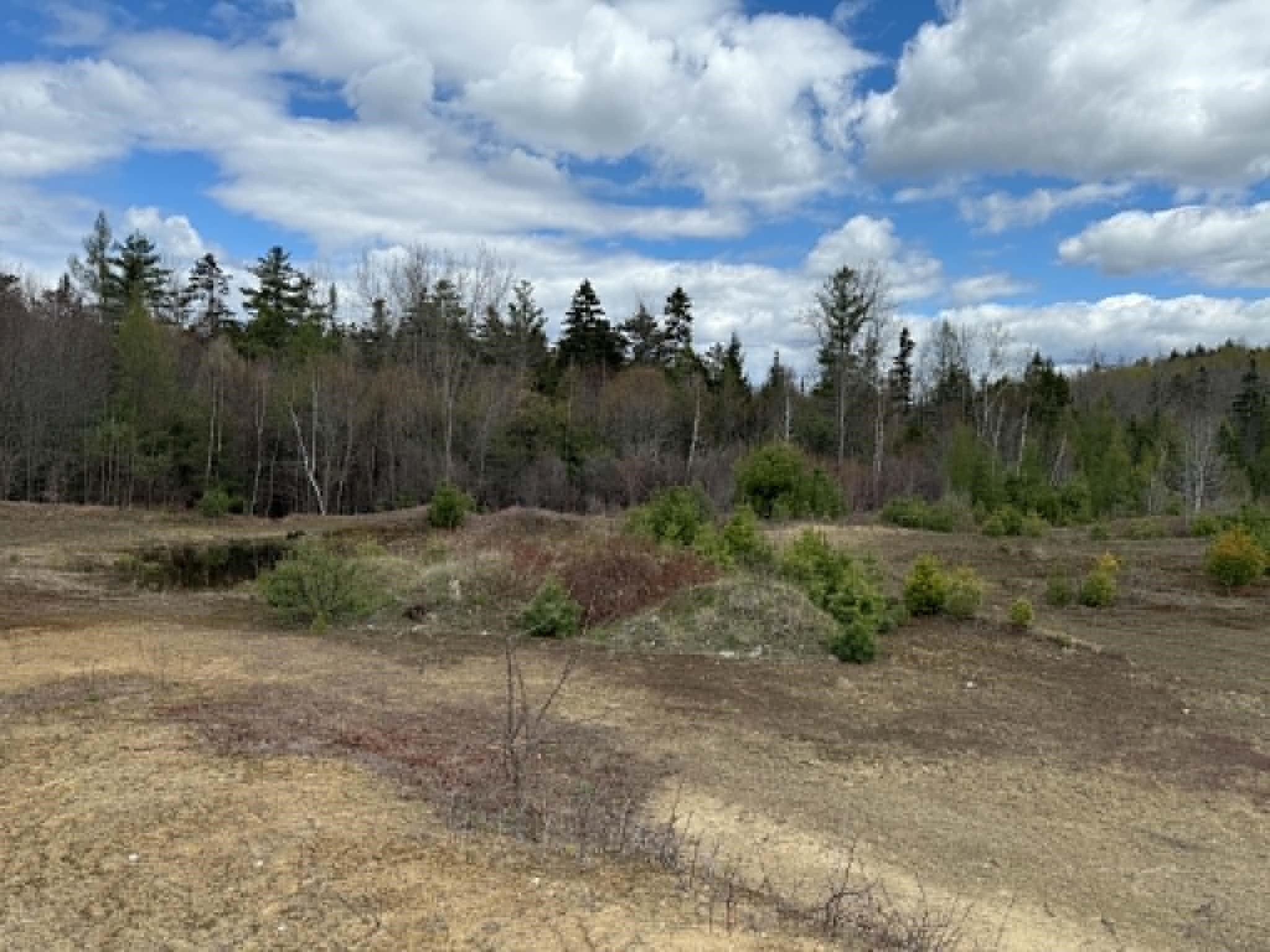 Lot 7 Bog Road