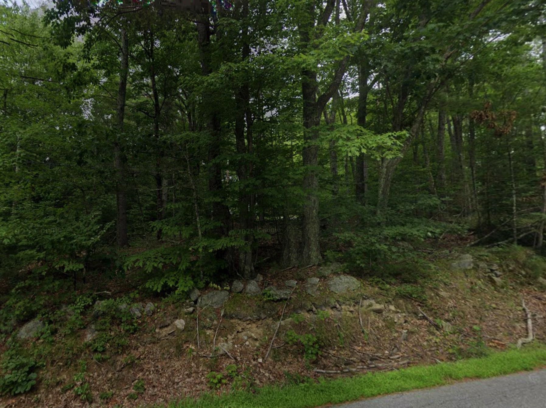 115 New Rye Road