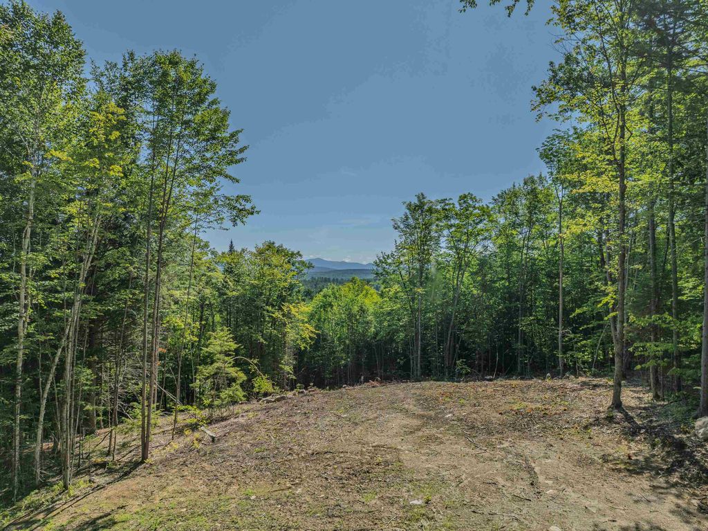 Photo of 9229 Birchcroft Drive, Littleton, NH 03561 (MLS # 5053280)
