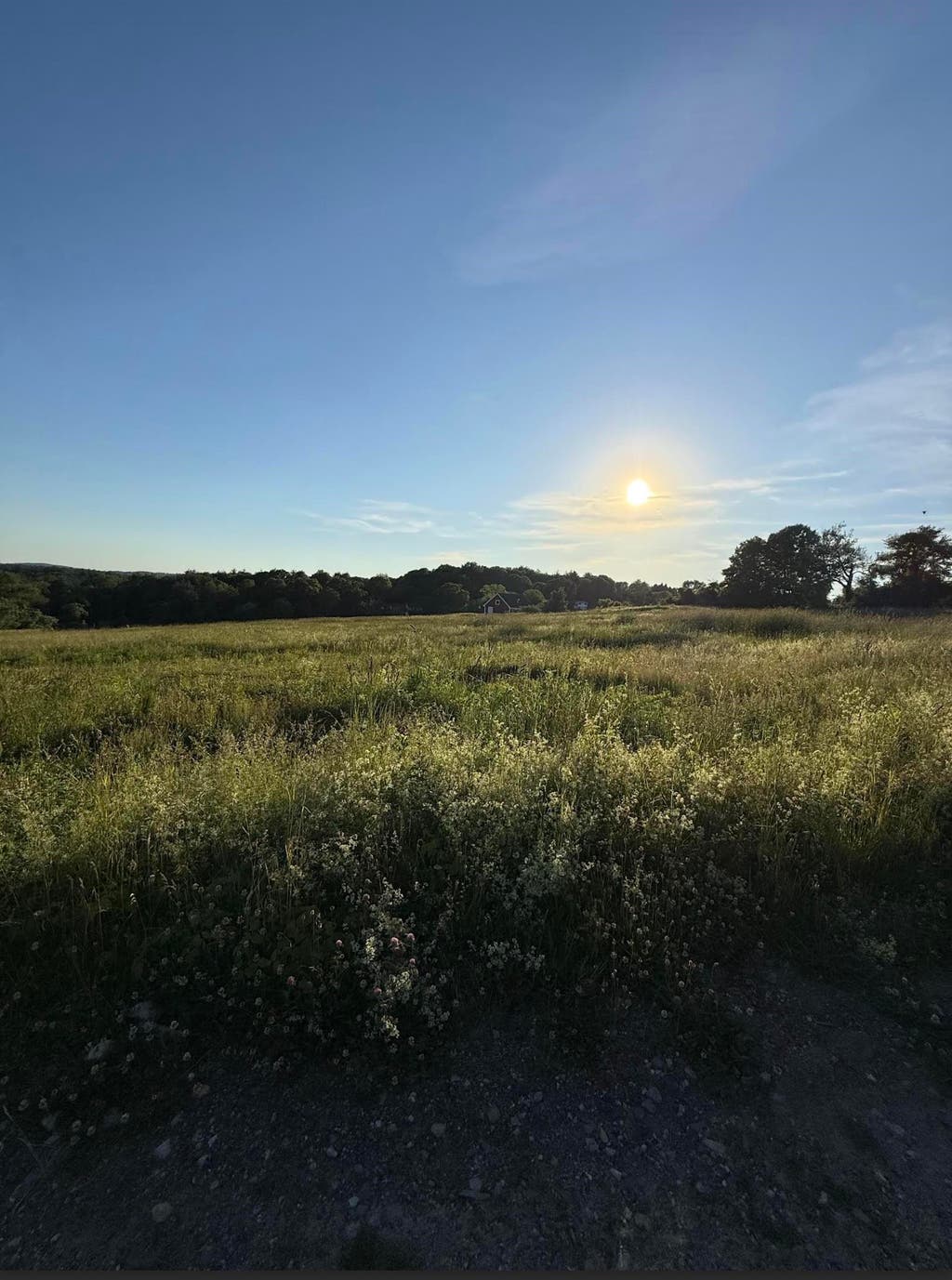 Photo of 31 Pasture Lane, Pelham, NH 03076 (MLS # 5100664)