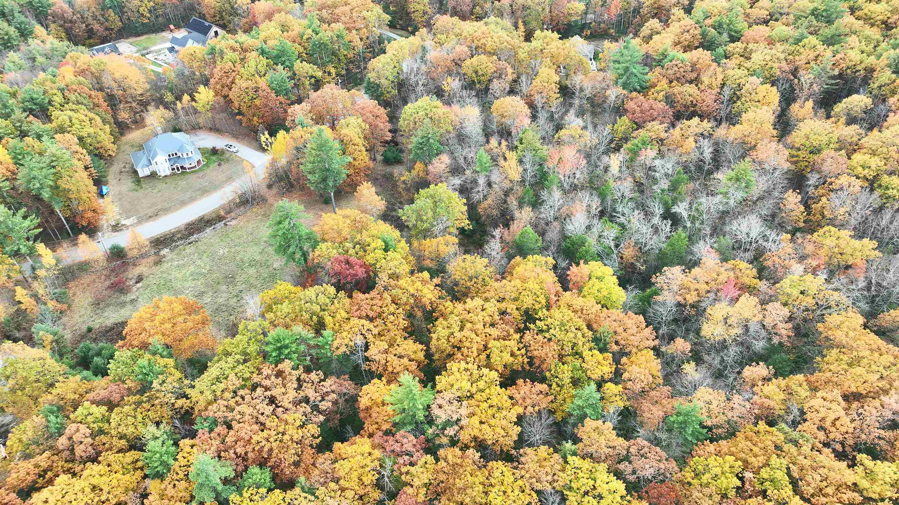 7 Winterberry Road