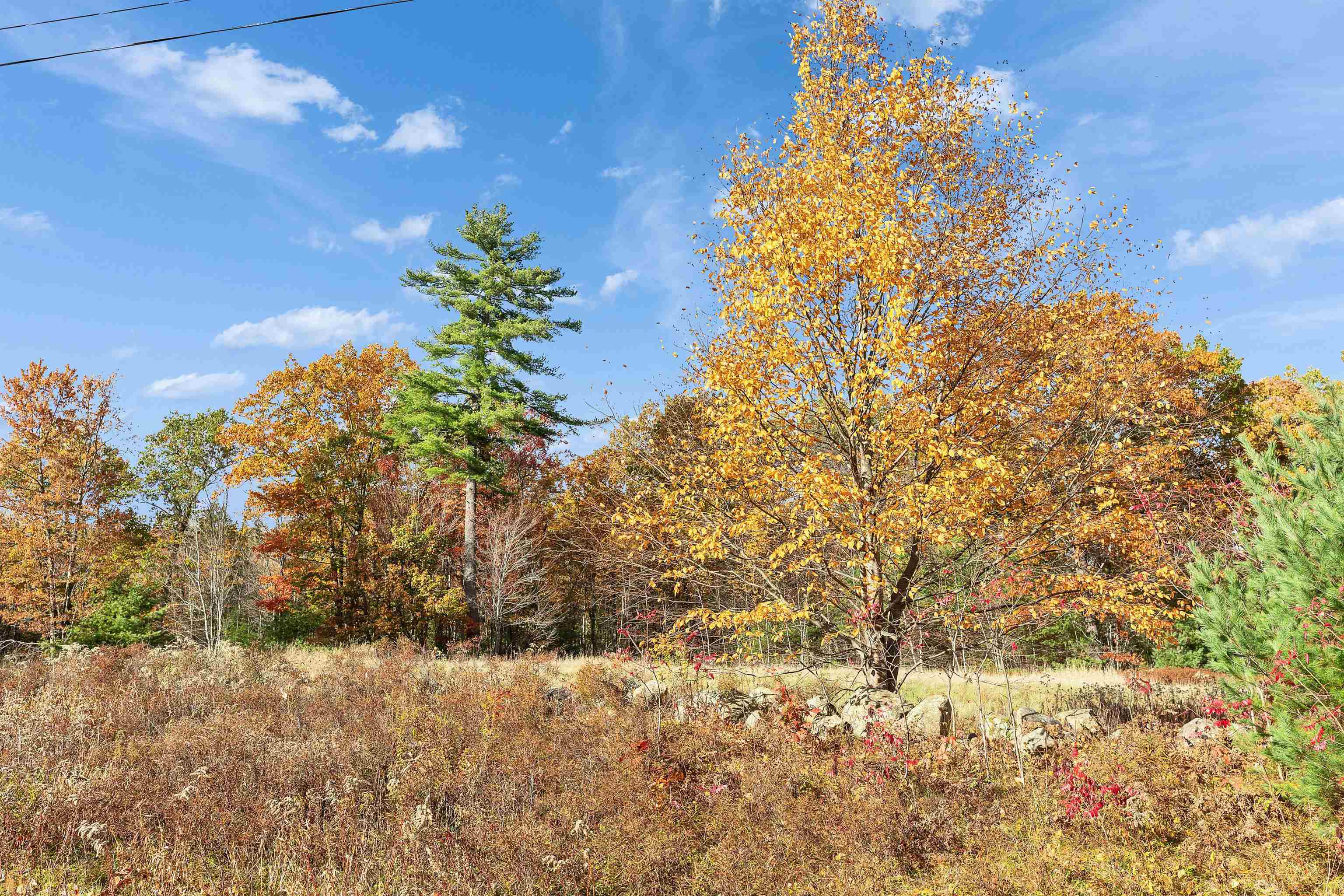 7 Winterberry Road