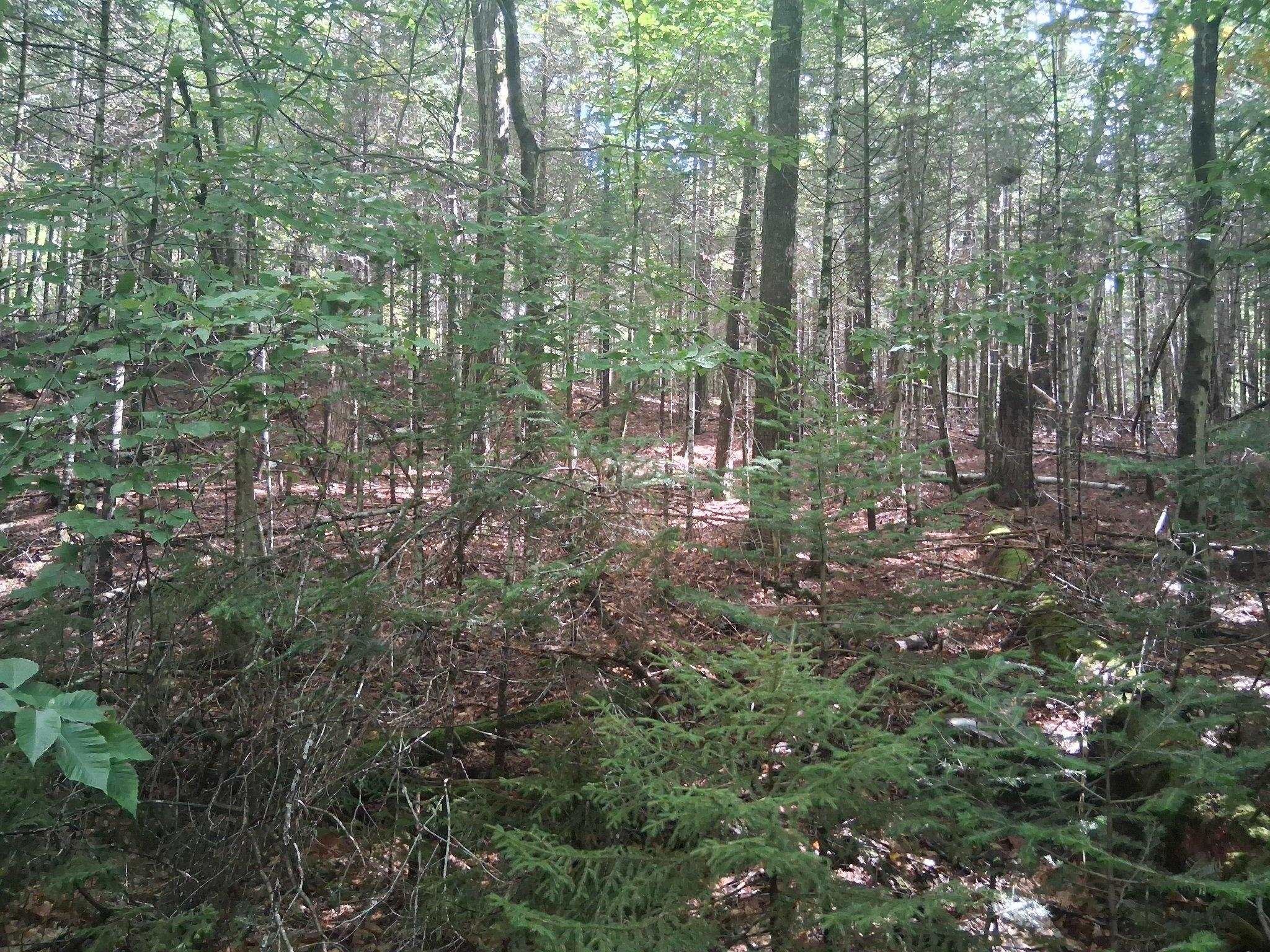 14-257 Garfield Road N-6 Sec2 - Photo 2