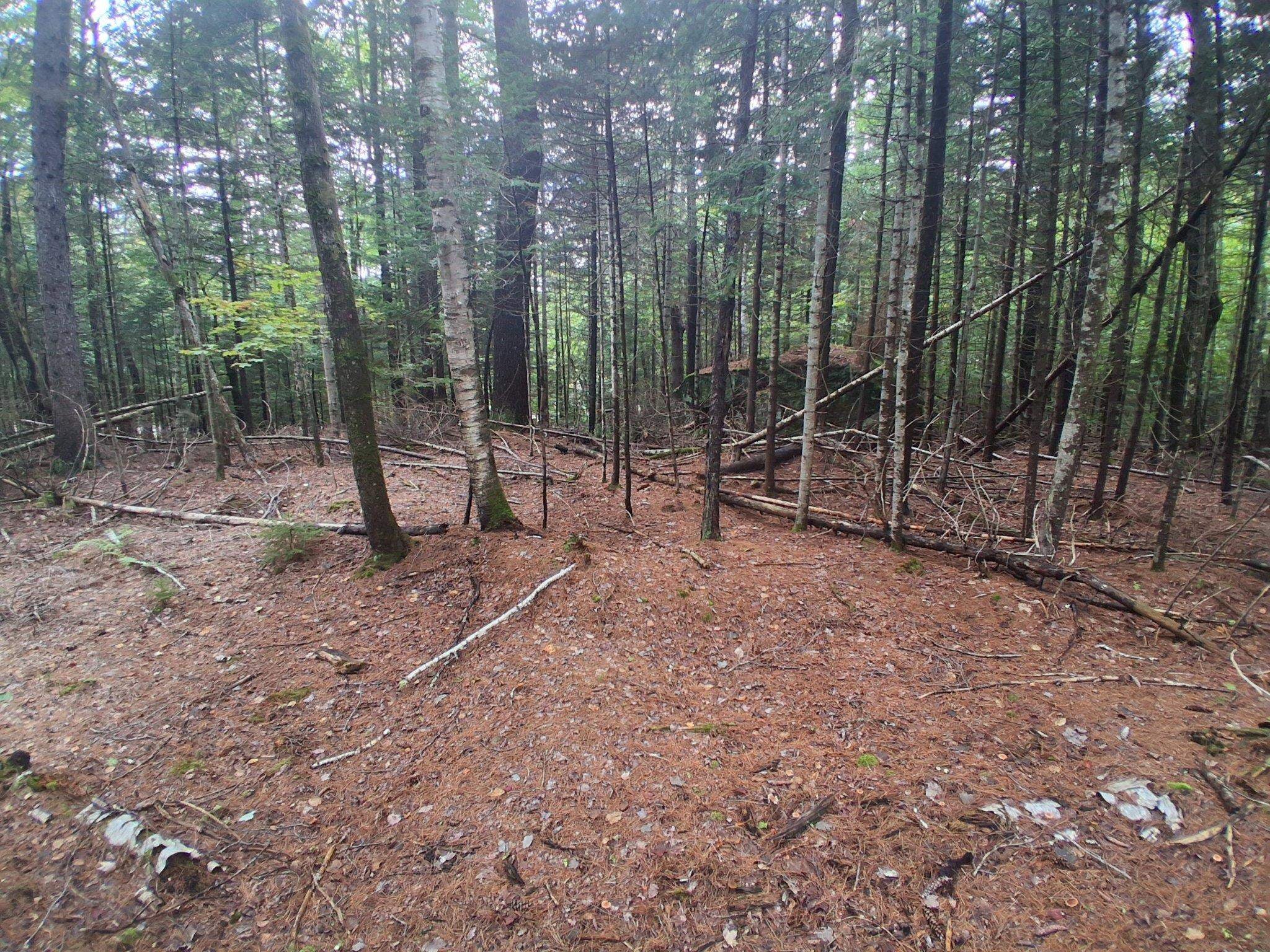 14-257 Garfield Road N-6 Sec2 - Photo 3