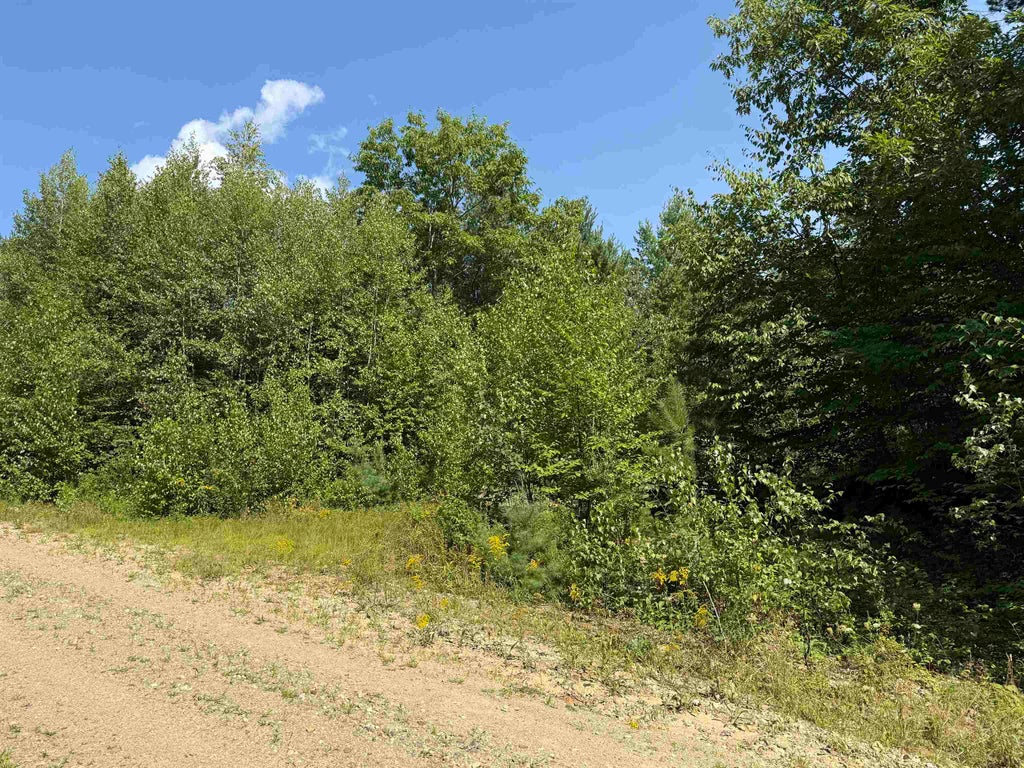 Photo of 00 Parkey Road, Barnstead, NH 03218 (MLS # 5105625)