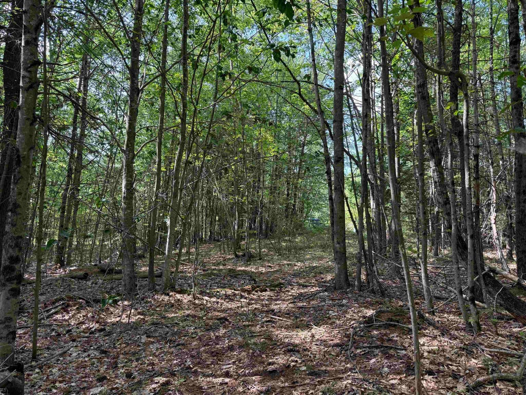 Photo of 00 Parkey Road, Barnstead, NH 03218 (MLS # 5105625)