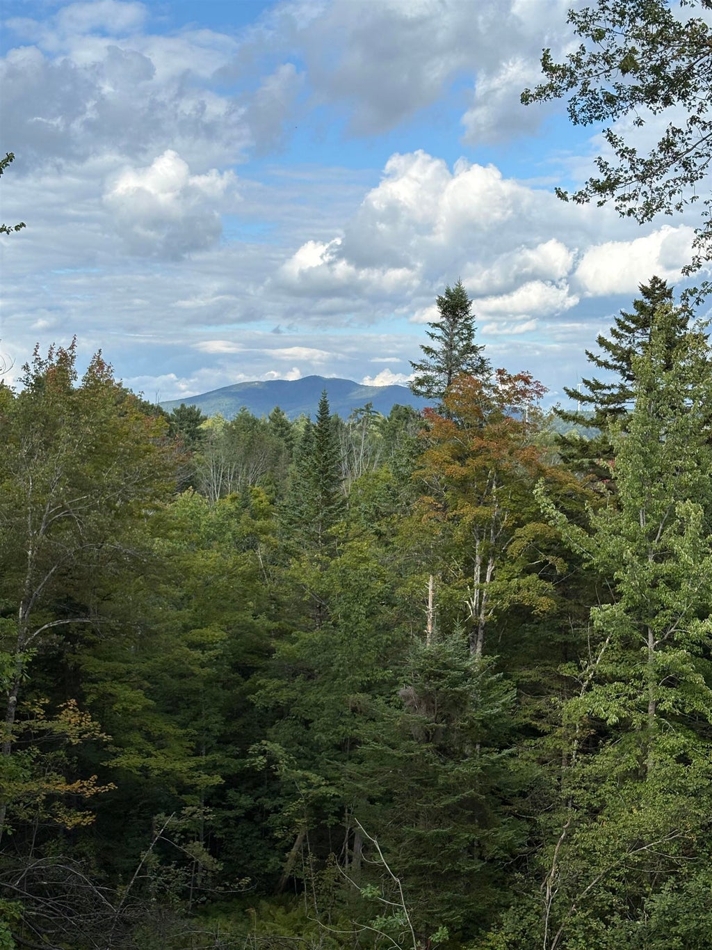Photo of 988 North Groton Road, Groton, NH 03241 (MLS # 5108437)