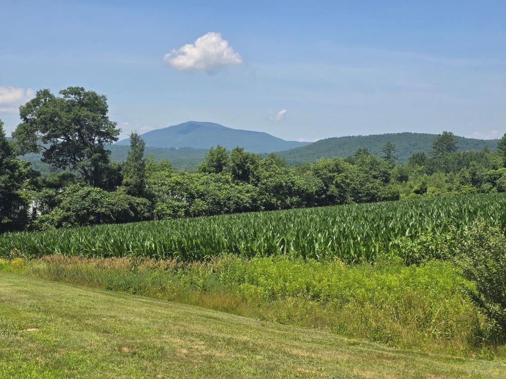 Photo of 509 River Road, Claremont, NH 03743 (MLS # 5098827)