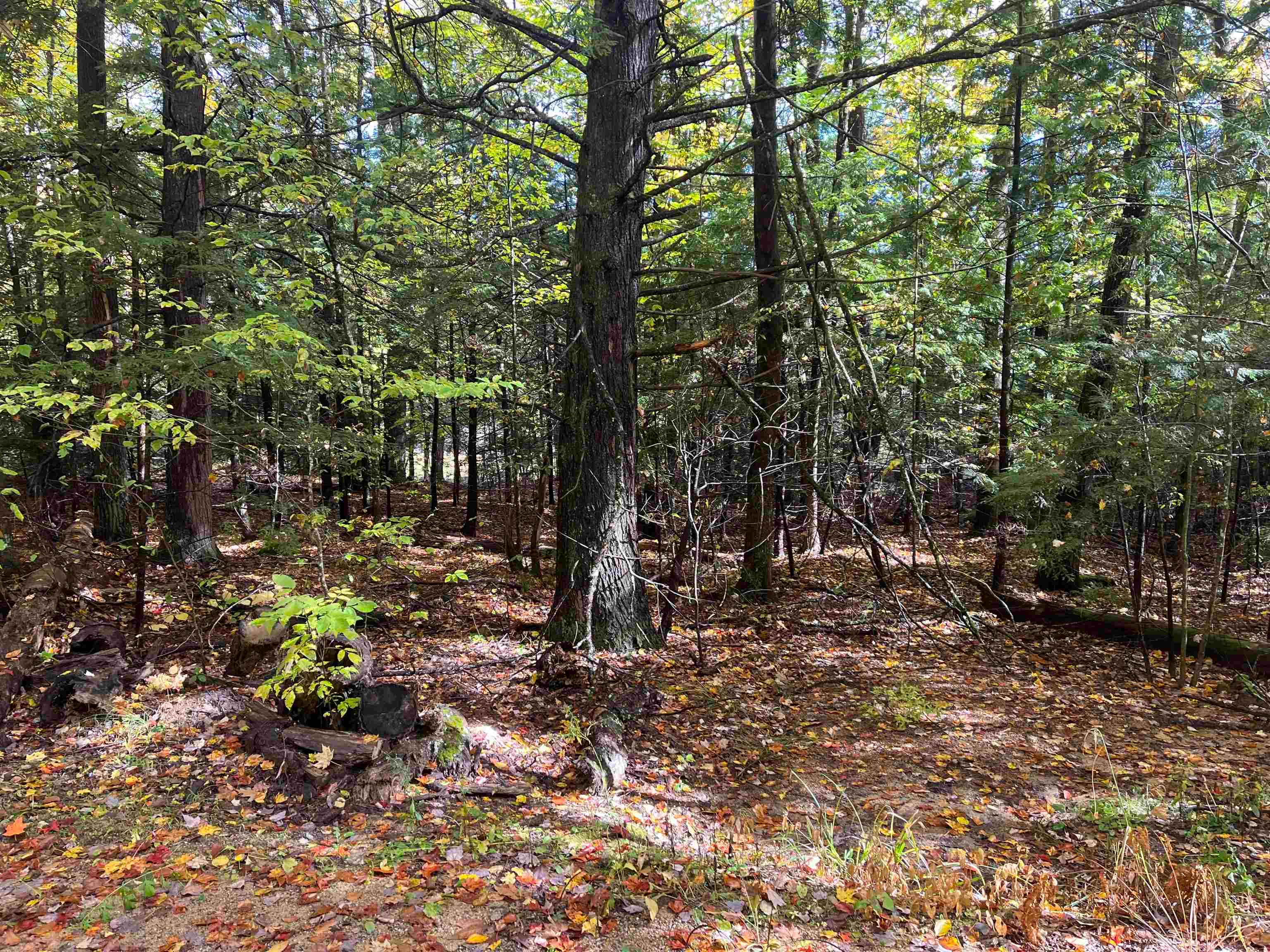 83 Sargent Lake Road