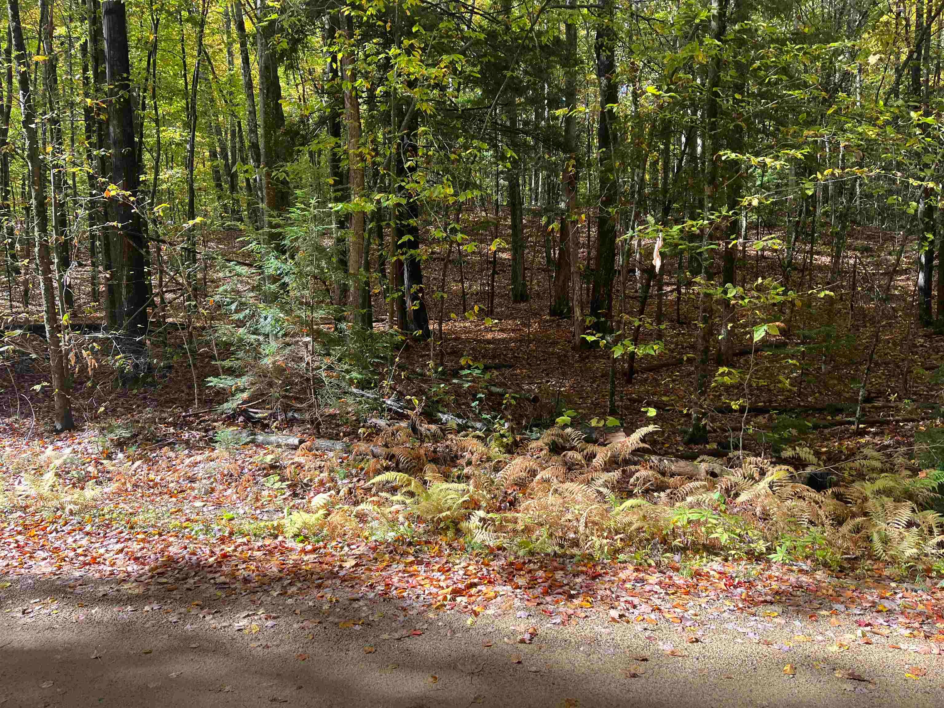 83 Sargent Lake Road