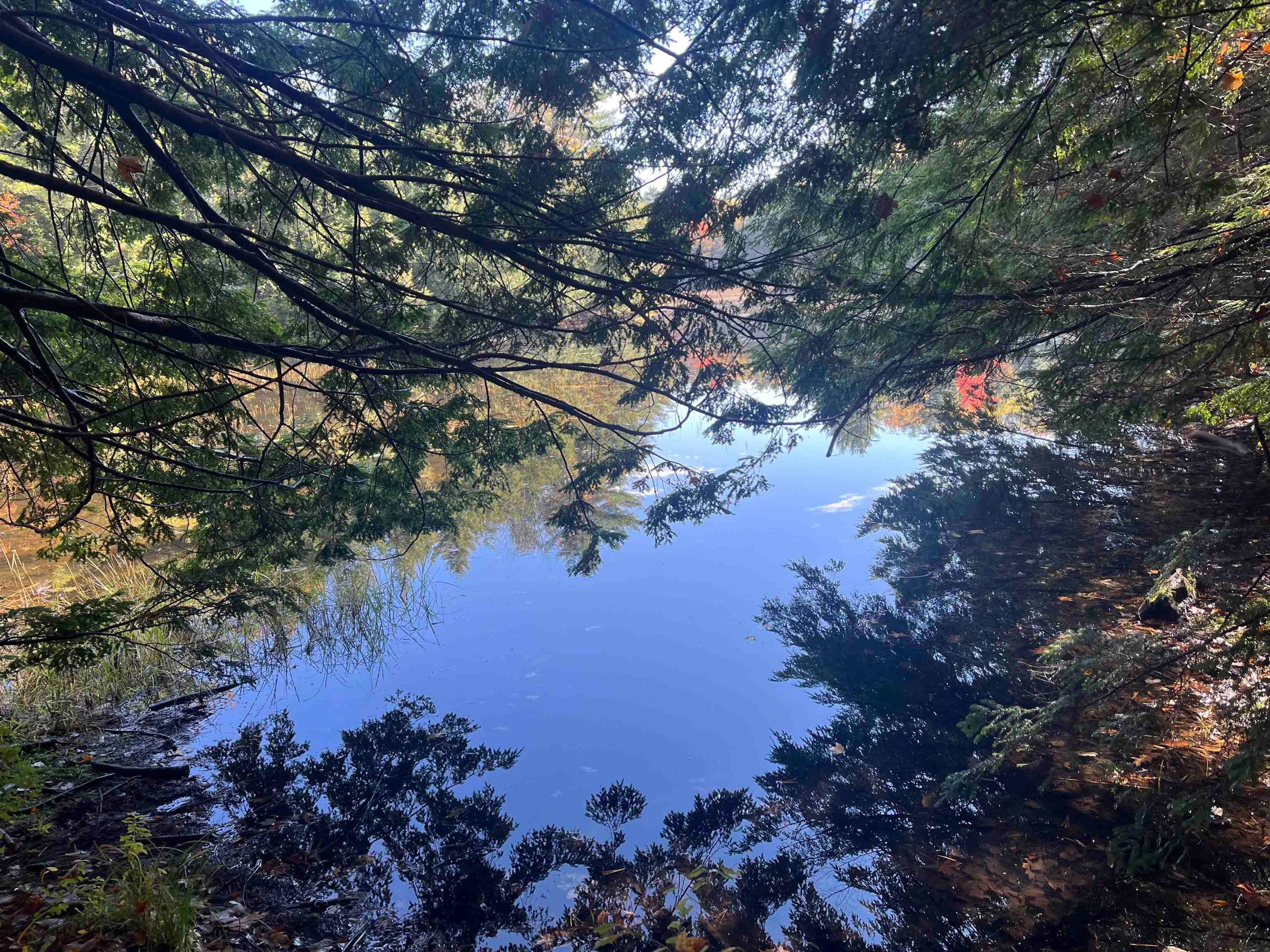 83 Sargent Lake Road