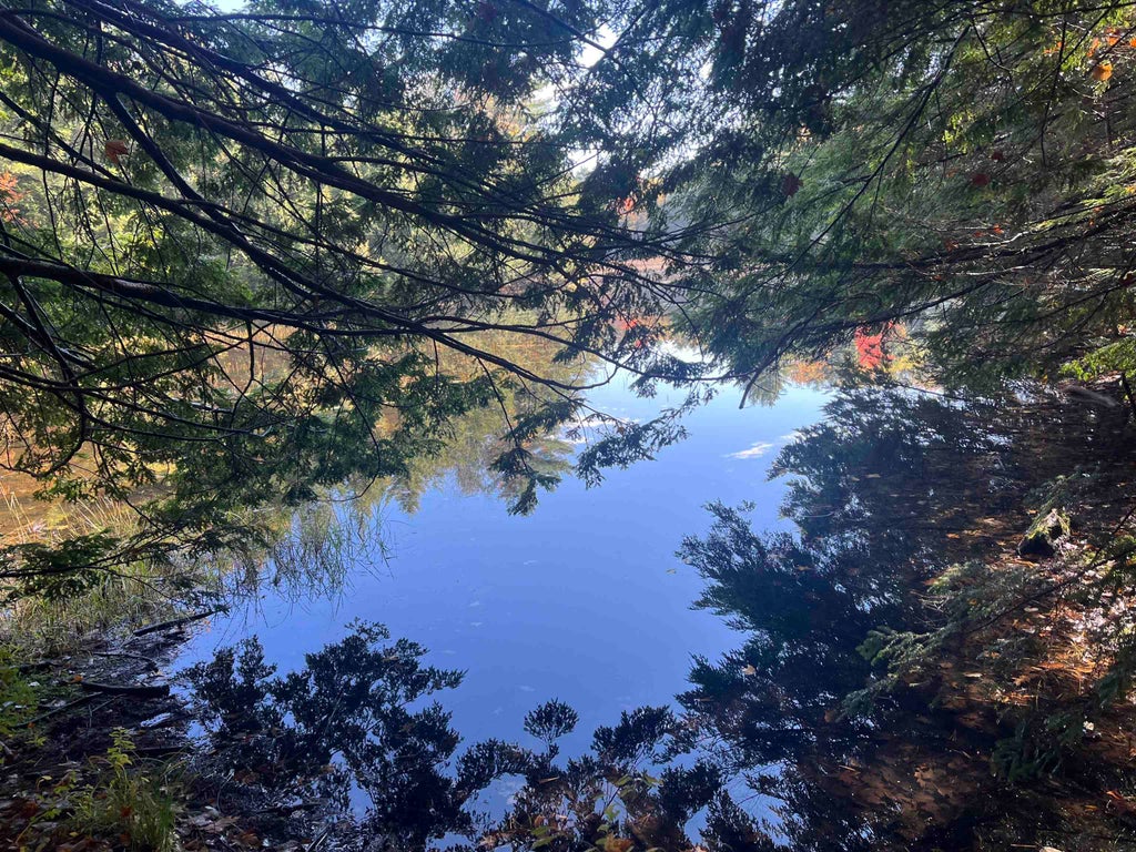 Photo of 83 Sargent Lake Road, Belmont, NH 03220 (MLS # 5114253)