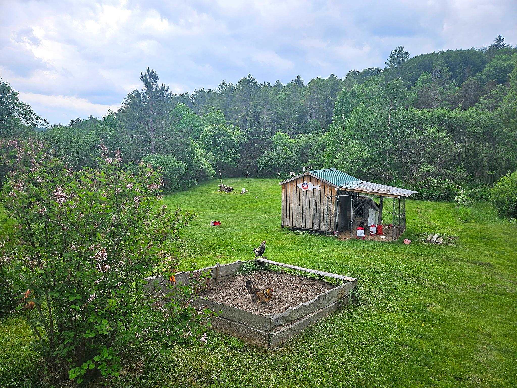 3407 Windham Hill Road