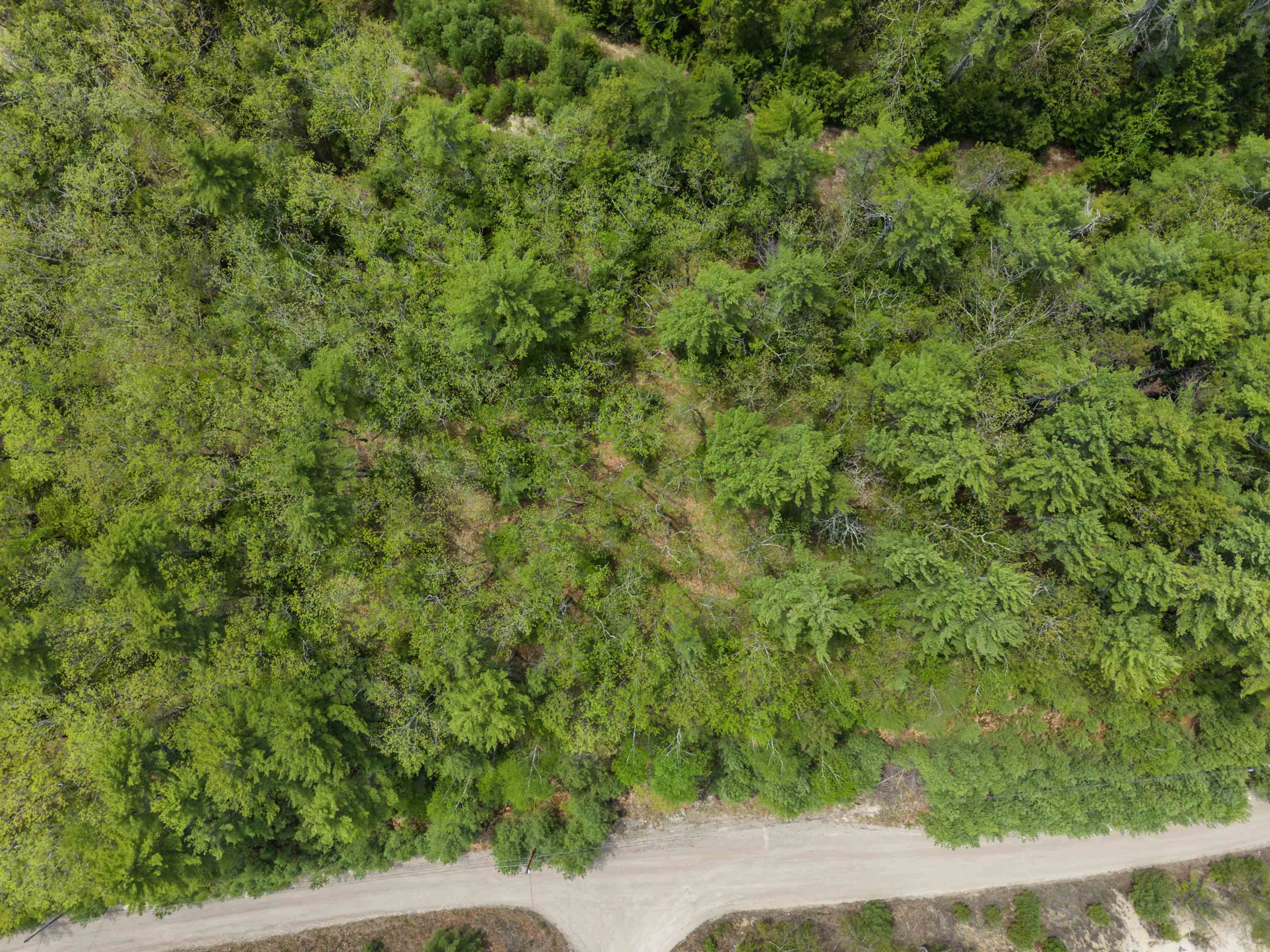 lot 15 Pine Point Road 15