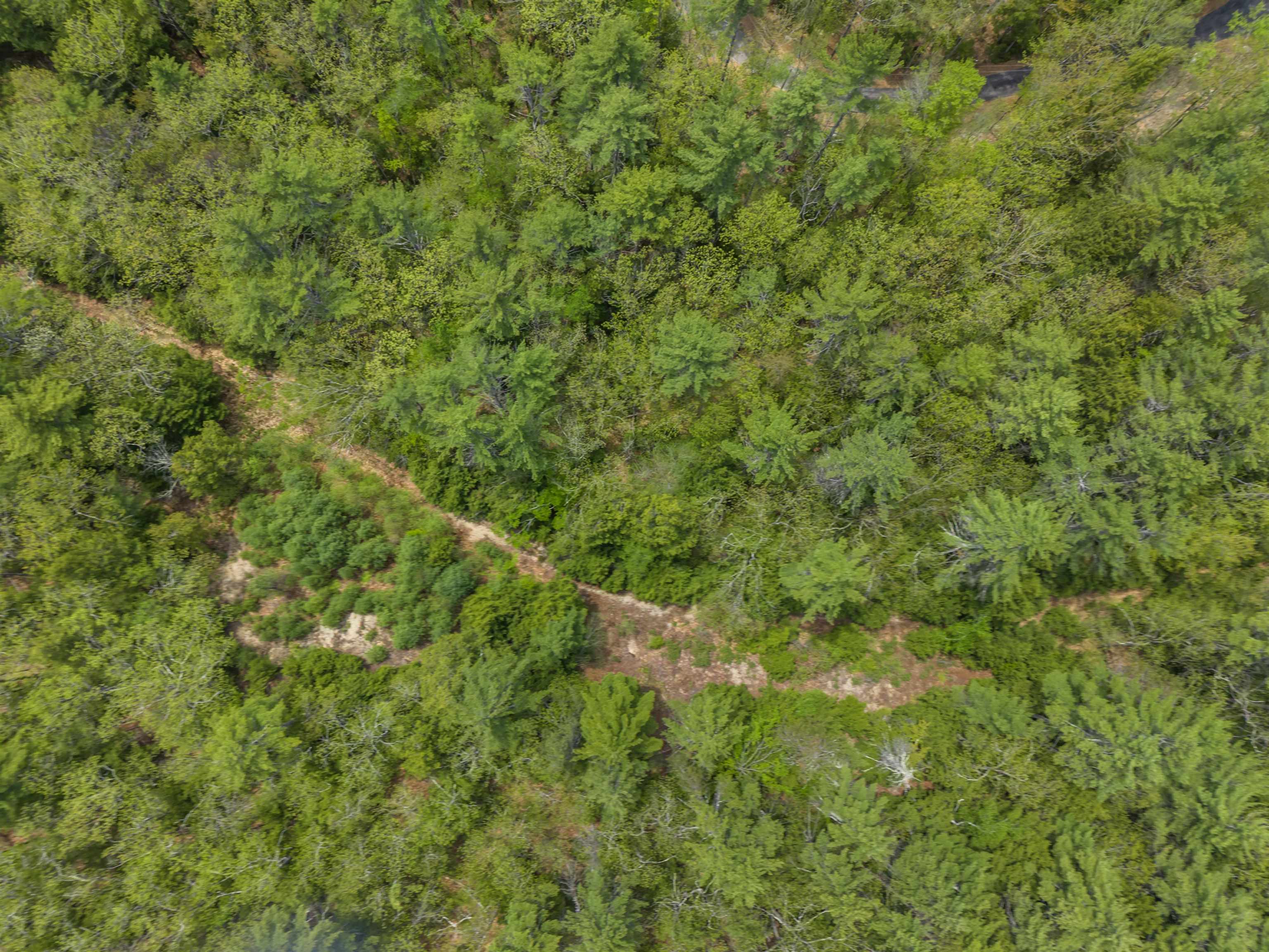 lot 15 Pine Point Road 15