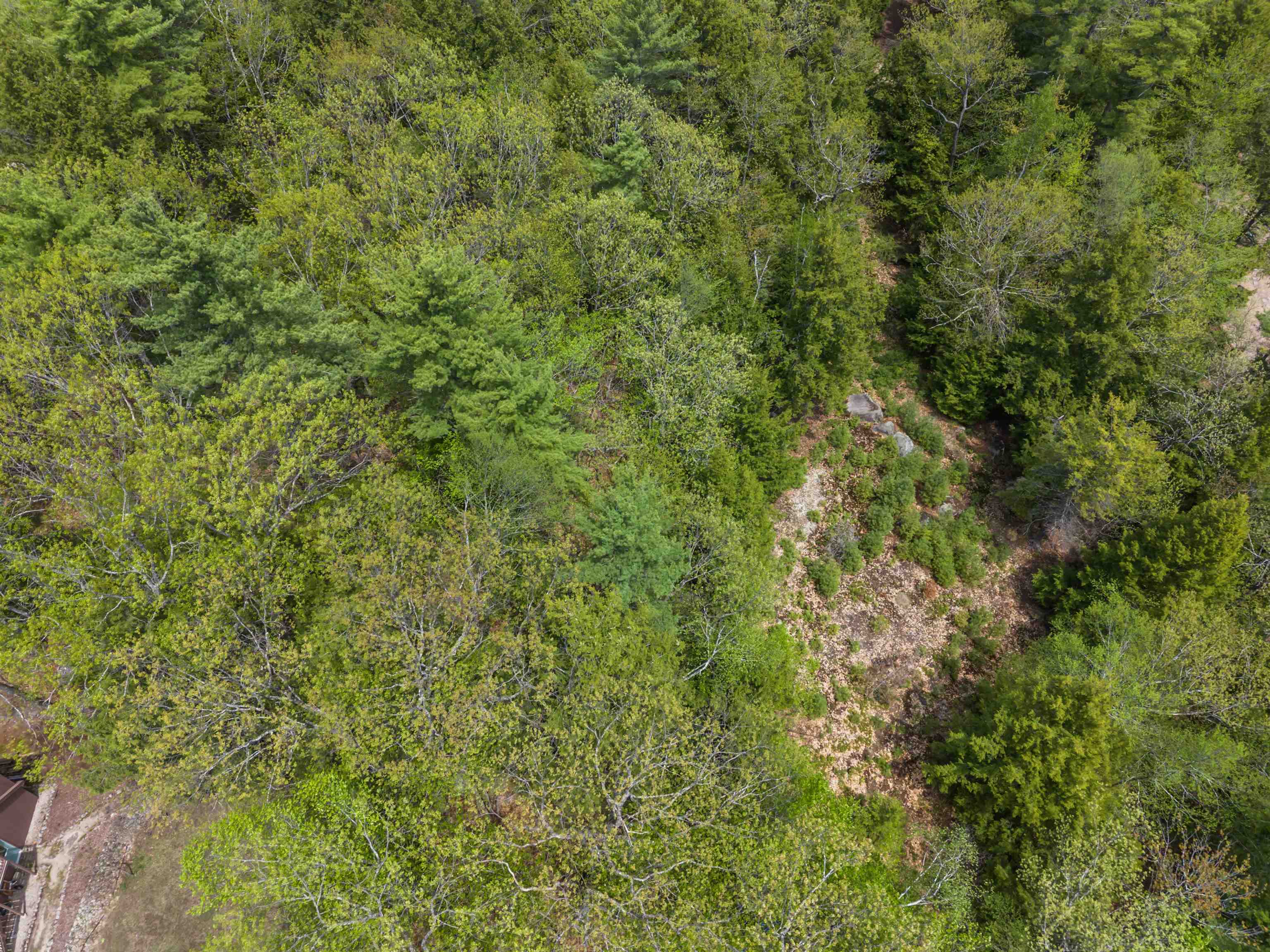 lot 15 Pine Point Road 15