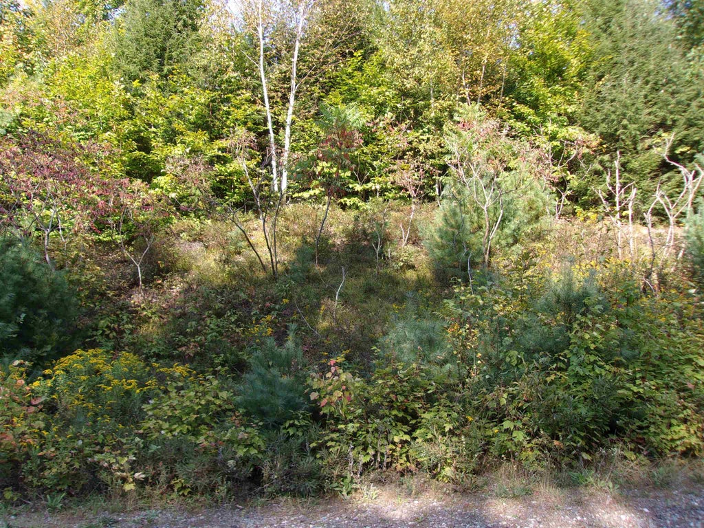 Photo of Fenn Way Circle #29, Bath, NH 03740 (MLS # 5115288)