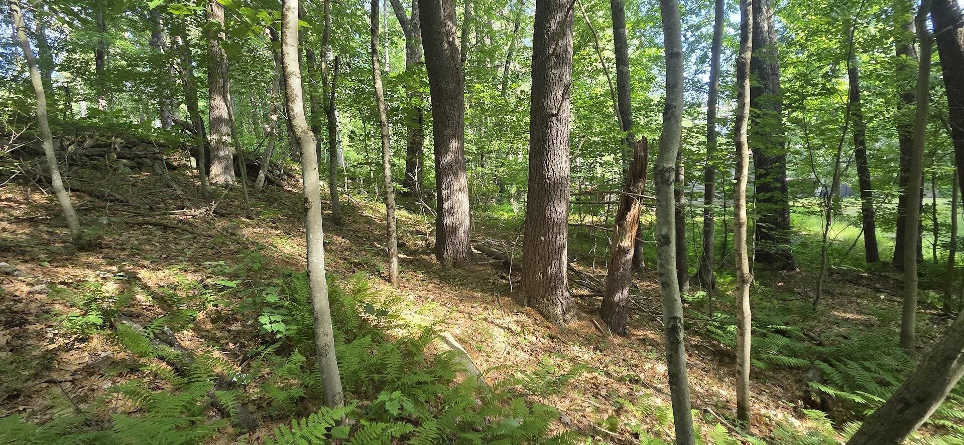 Map 101 Lot 18 Berry River Road