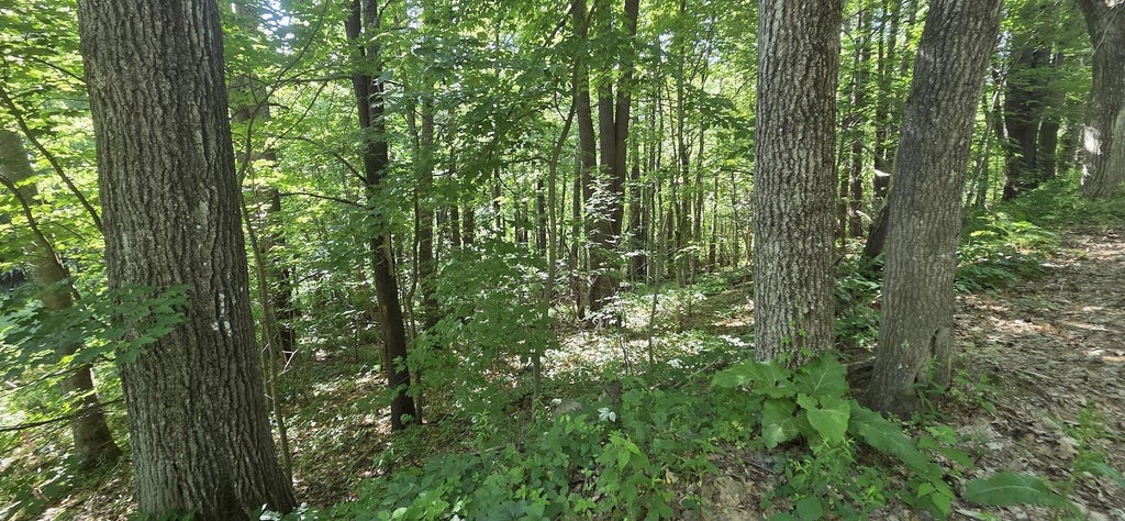 Photo of 10118 Berry River Road, Barrington, NH 03825 (MLS # 5105093)