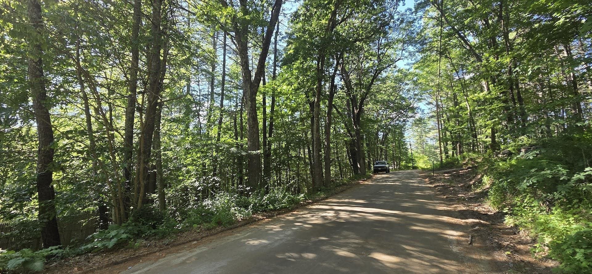 Map 101 Lot 18 Berry River Road