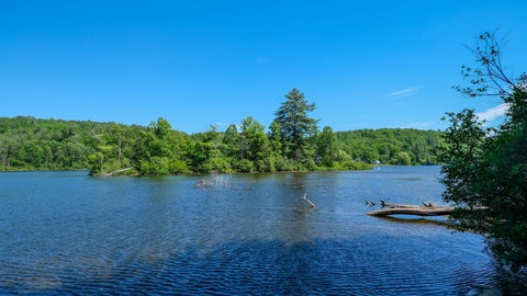 610 Route 100 Plymouth VT 05056