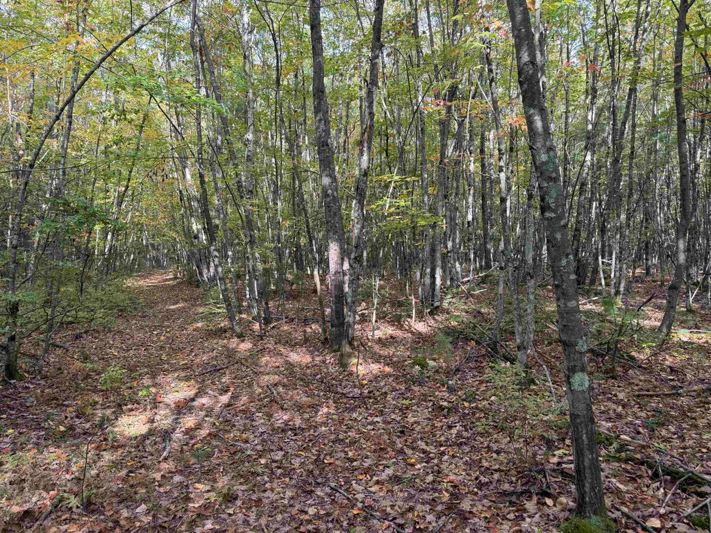 Photo of 49 Quinns Field, Rochester, NH 03867 (MLS # 5113745)