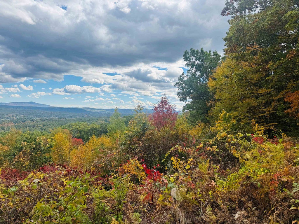 Photo of 0 Old Walpole/Valley View Road, Surry, NH 03431 (MLS # 5112937)