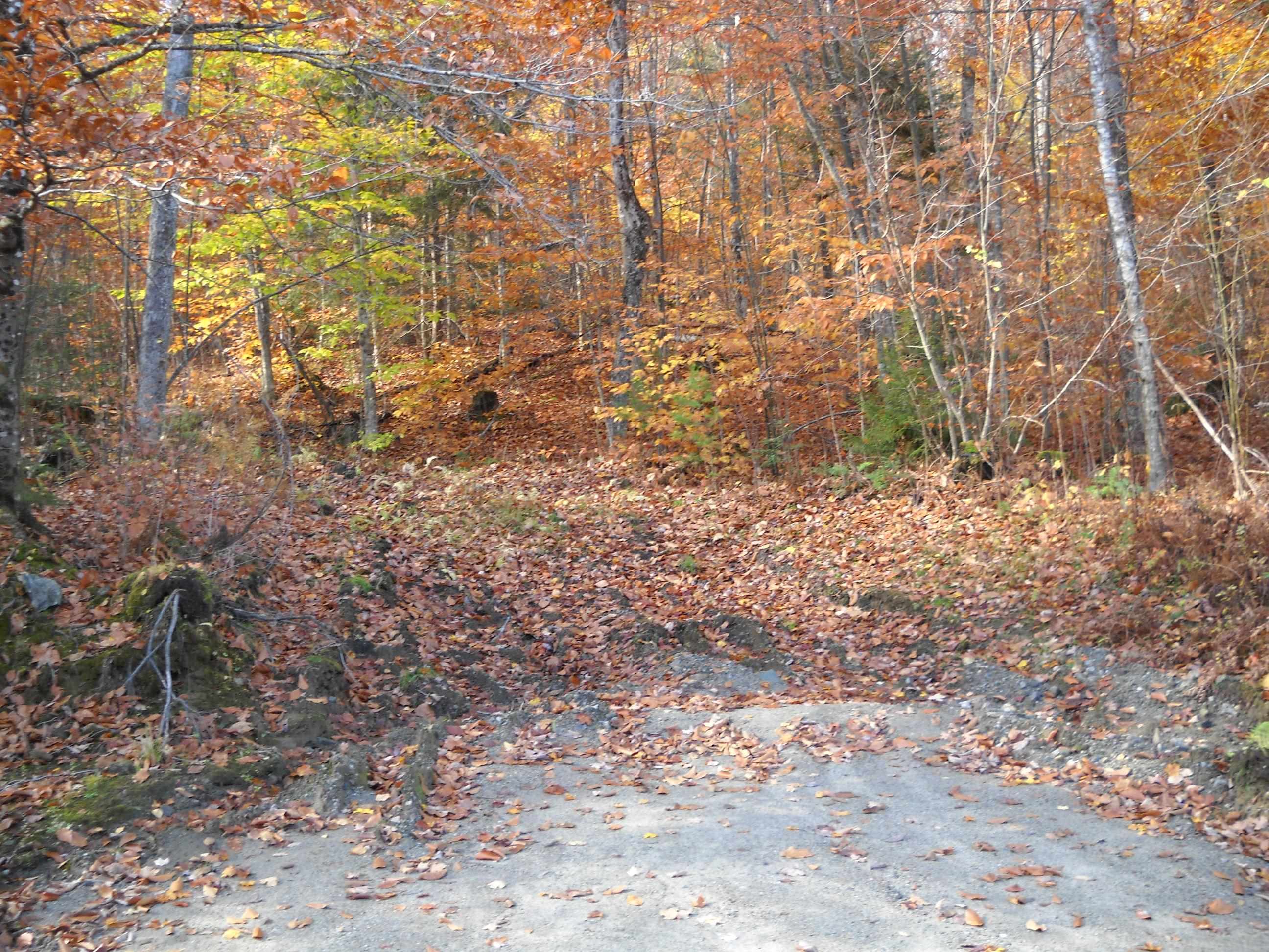 1179 NH Route 25A Lot E