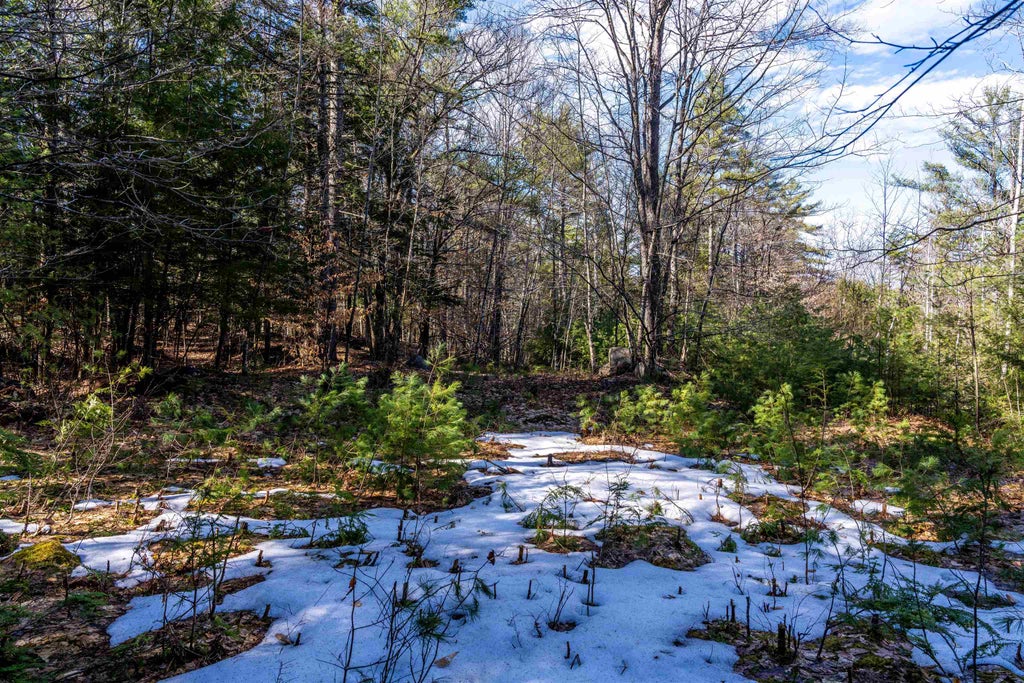 Photo of BURKE Road #Tax Lot 50-25-05, Gilmanton, NH 03837 (MLS # 5102373)