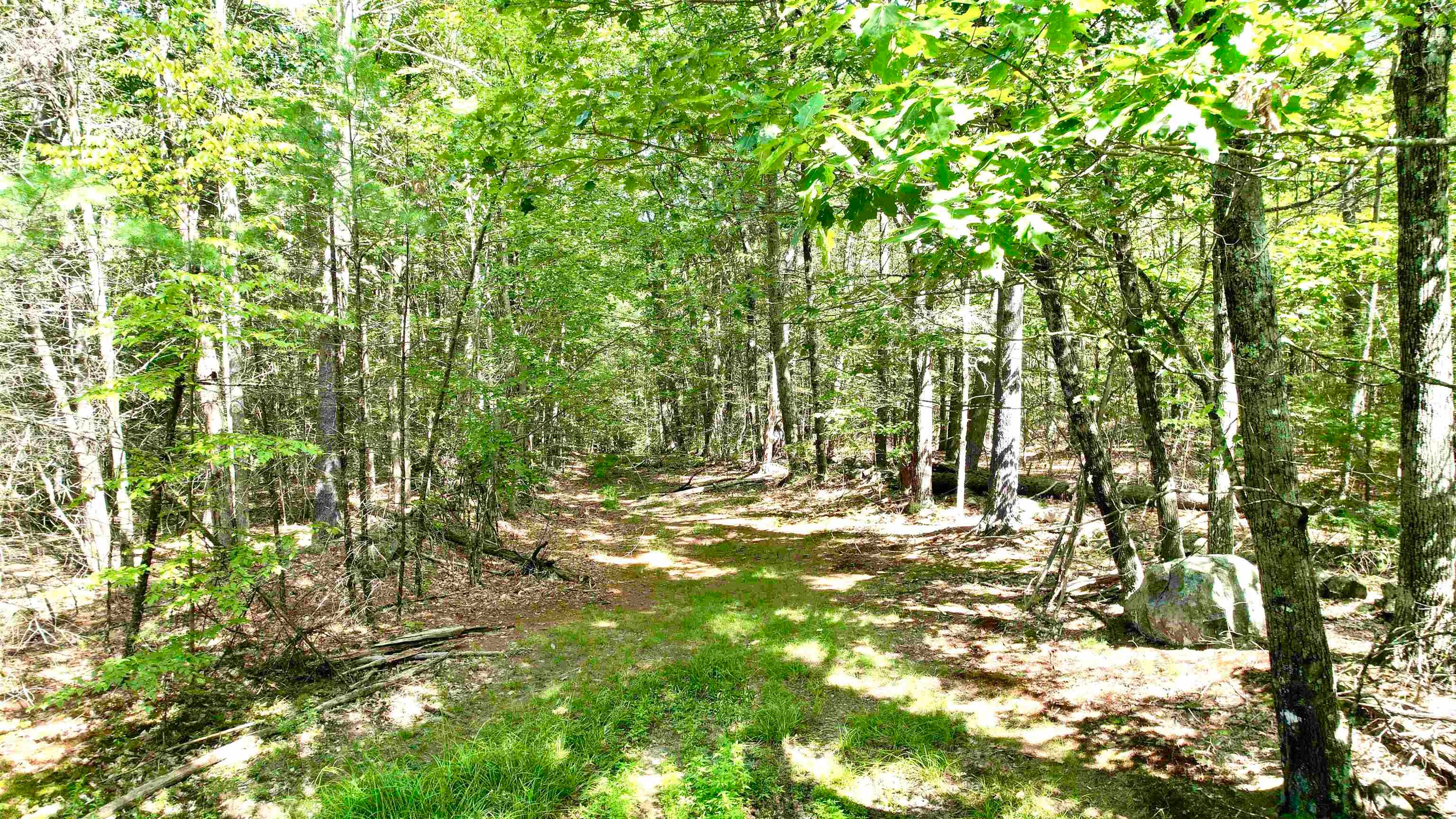 Lot 18.3 South Road