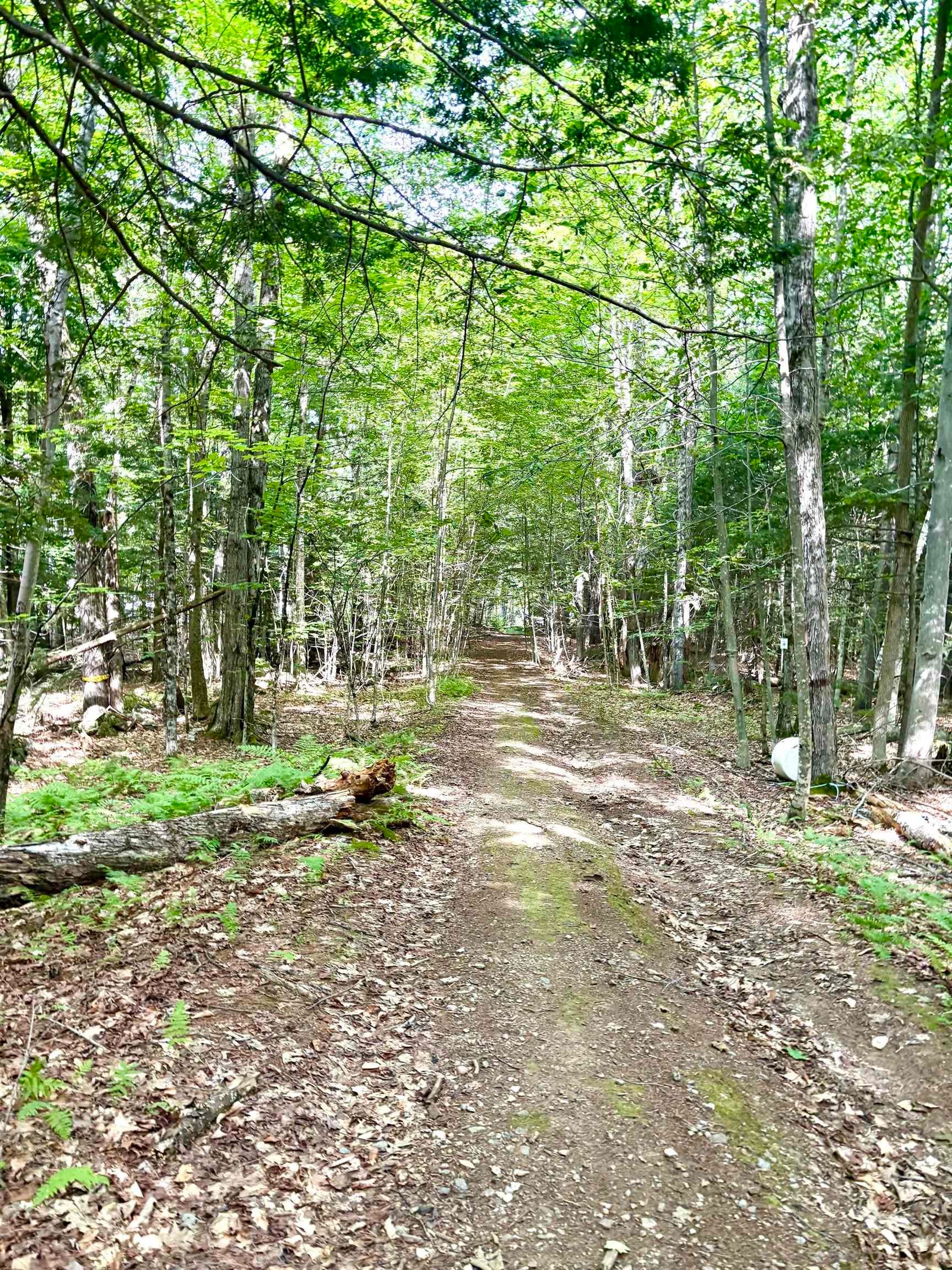 Lot 18.3 South Road