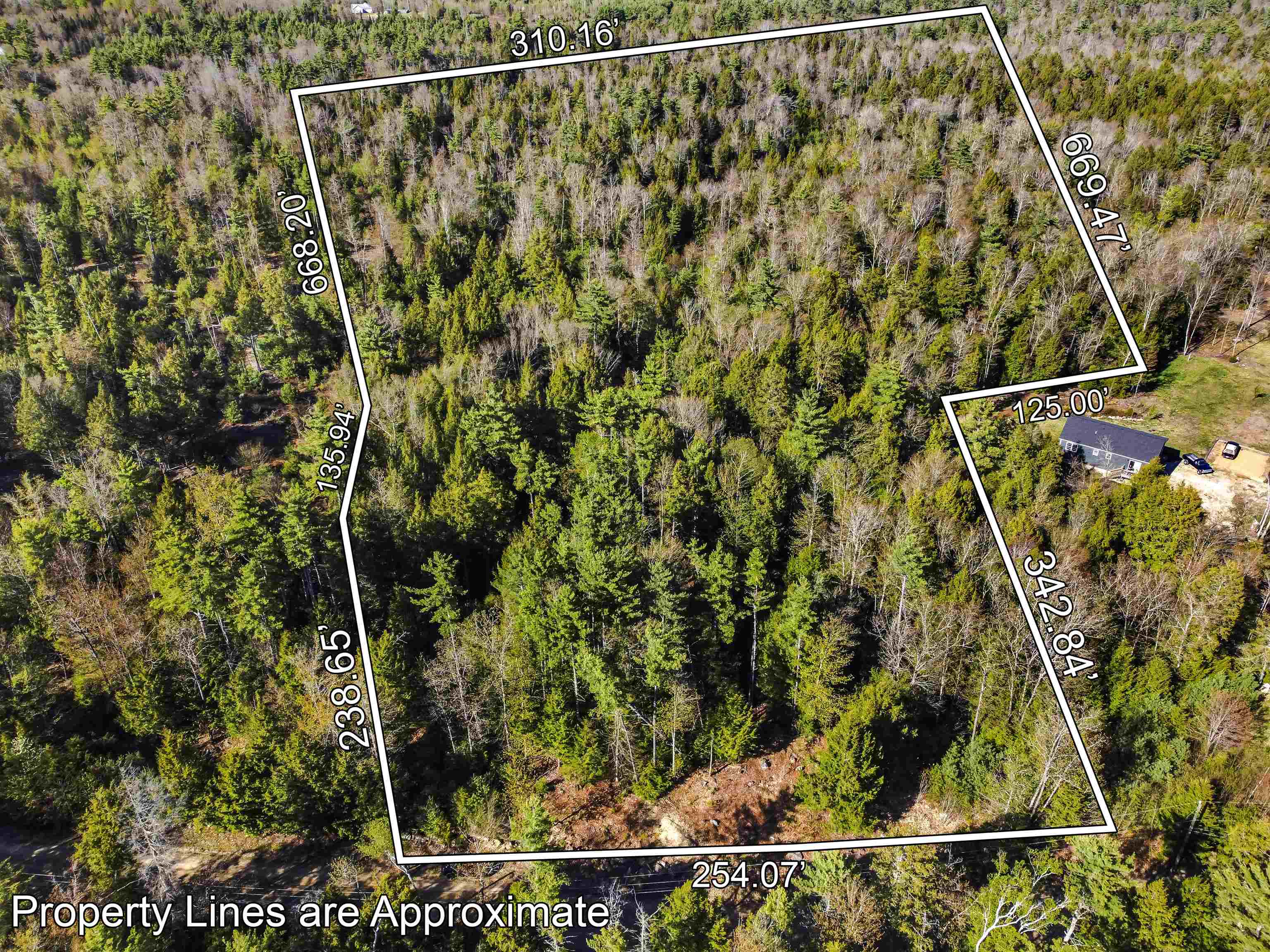 1196 Province Road 4